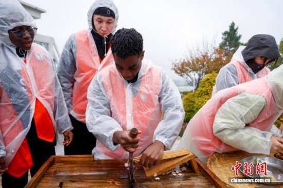 图为国际选手切白芍。中新社记者 肖健 摄