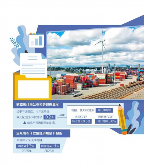 图为德国汉堡港口与物流股份公司旗下汉堡港CTT集装箱码头景象。 新华社记者 张 帆摄