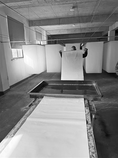 宣纸加工制作中,师傅用黄柏对纸张进行染色以达到防虫作用。