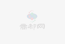 政策加码、技术赋能 物流业降本增效跑出加速度